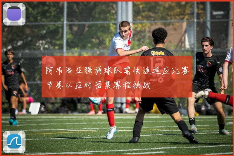 阿韦洛亚强调球队需快速适应比赛节奏以应对密集赛程挑战