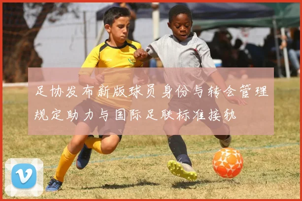 足协发布新版球员身份与转会管理规定助力与国际足联标准接轨