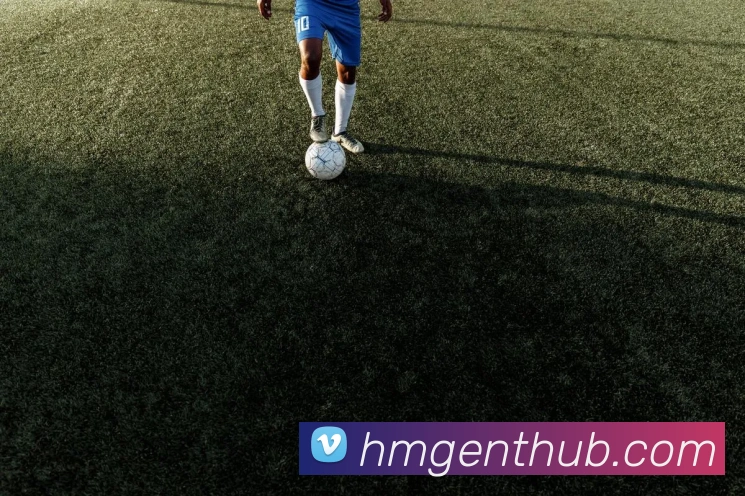 多媒体互动体验